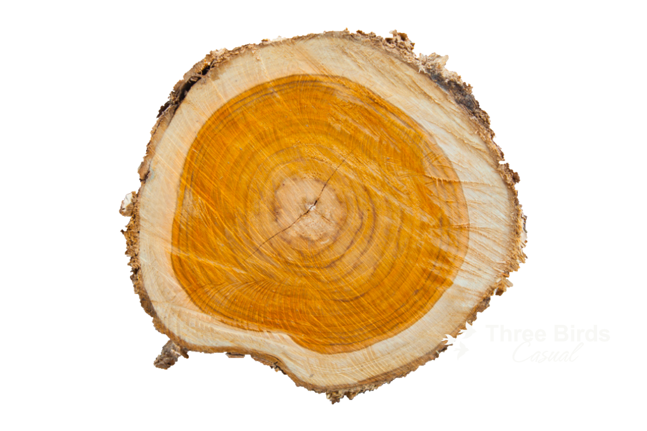  What Is Teak? Understanding Teak Wood